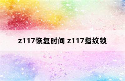 z117恢复时间 z117指纹锁